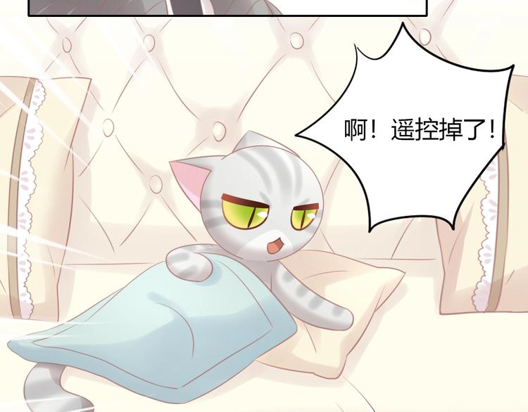 第128话 猫舍C位（四）16