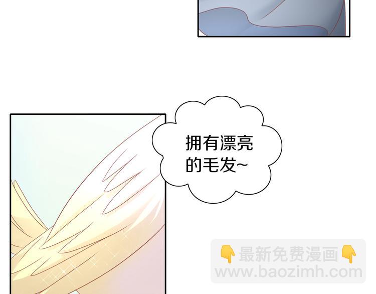 第143话 腮红鹦鹉42
