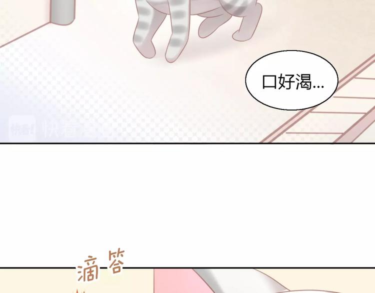 第125话 猫舍C位（一）68