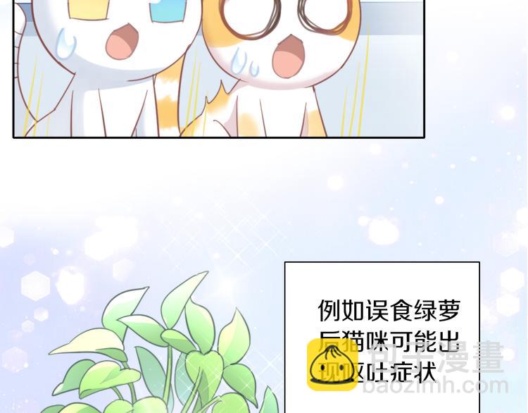 第166话 猫咪花园11