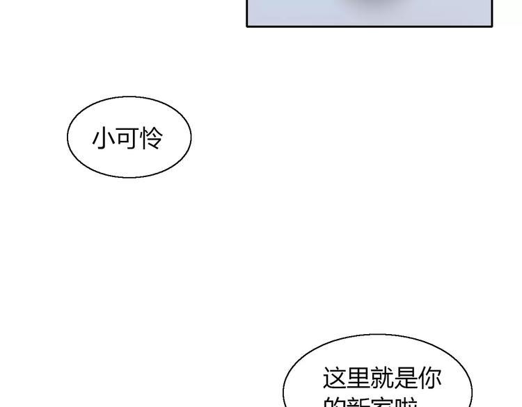 第47话 小可爱被送走了60