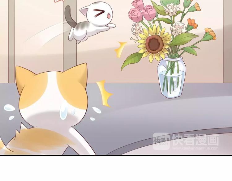 第44话 女王属性？41