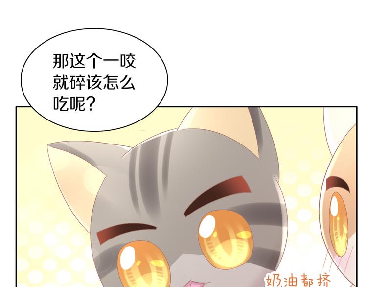 第181回  拿破仑64