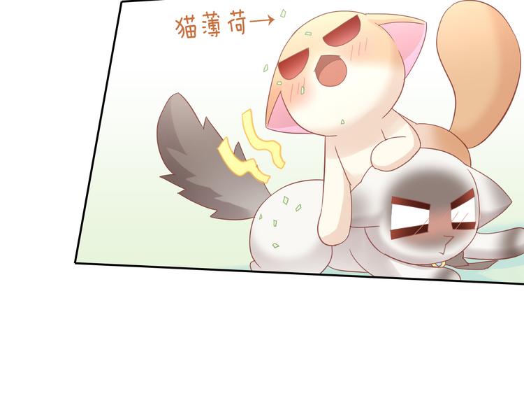 第136话 撸猫技师（四）70