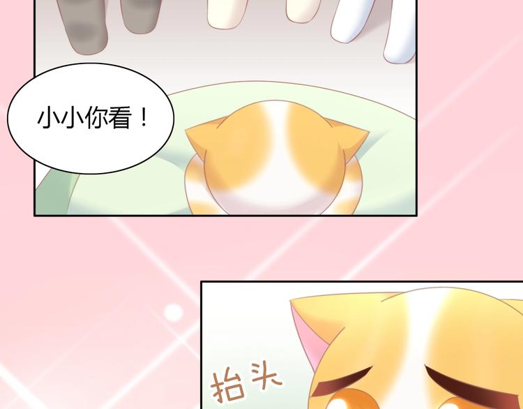 第114话 猫咪也要刷牙！80
