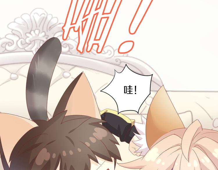 第166话 猫咪花园40