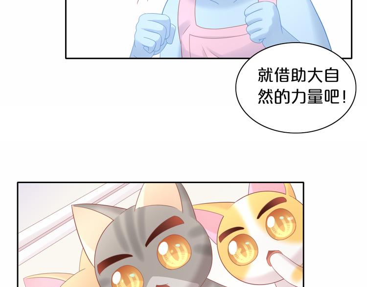 第154话 夏日大作战50