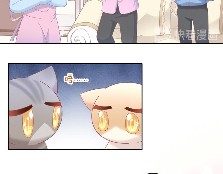 第147话 走花路吧！皮卡！53