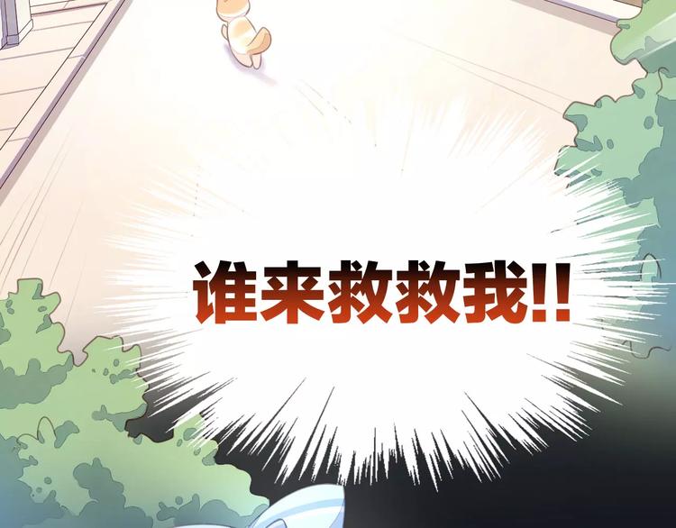第14话  萌宠失踪74