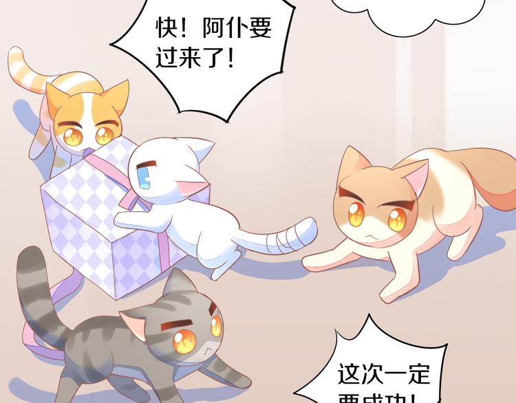 第167话 疯狂的蛋糕39