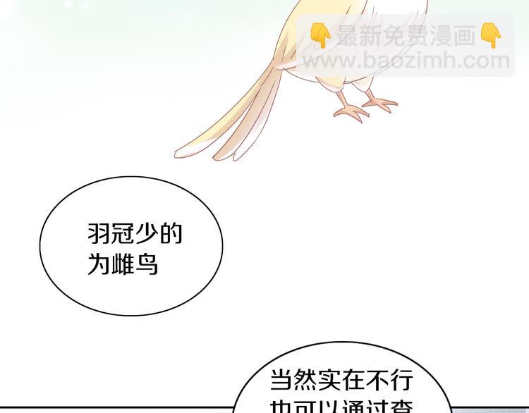 第170话 皮卡和小智35