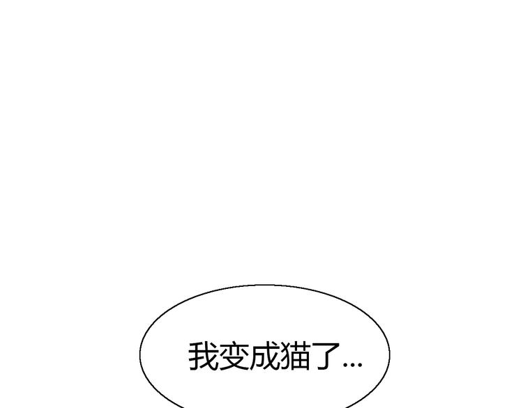 第51话 人猫大互换？2