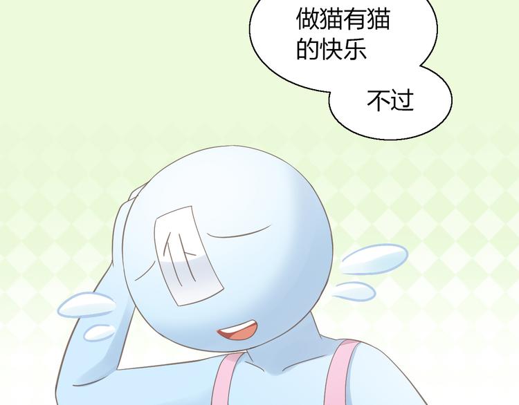 第51话 人猫大互换？102