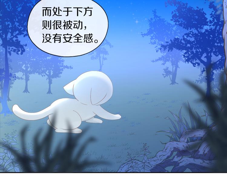 第200话 猫爪之下24