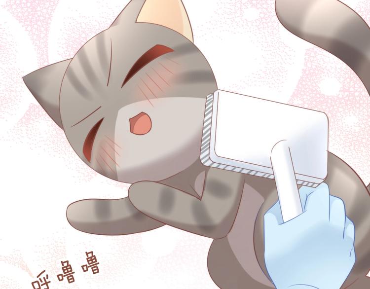 第93话 撸猫快乐成仙！34