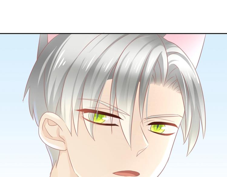 第128话 猫舍C位（四）54