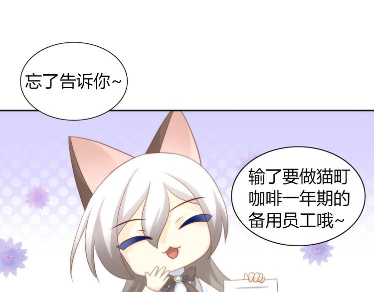 第76话 猫咪选美大赛60
