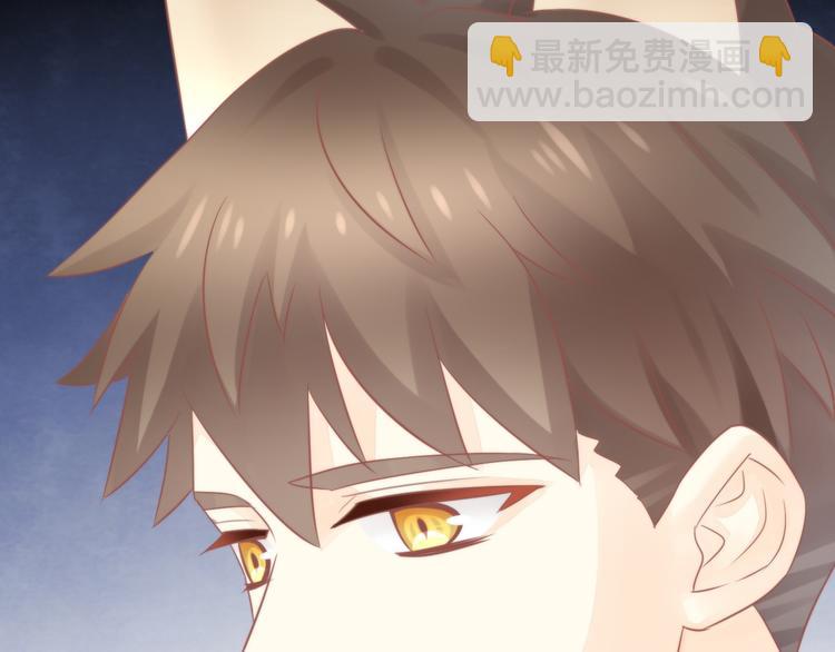 第79话 一只猫的战争46