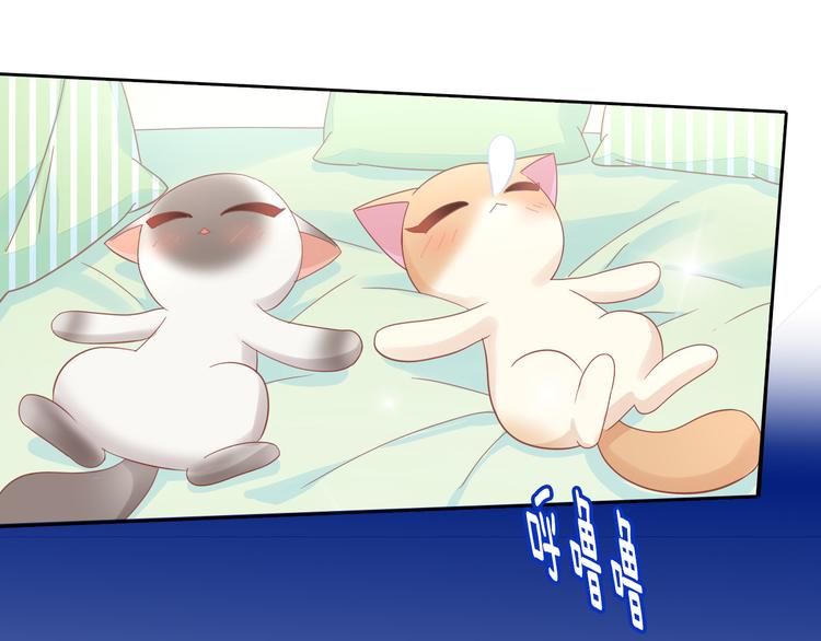 第136话 撸猫技师（四）71