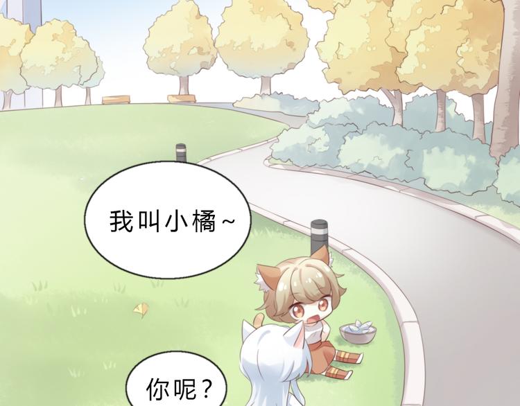 第61话 合作5
