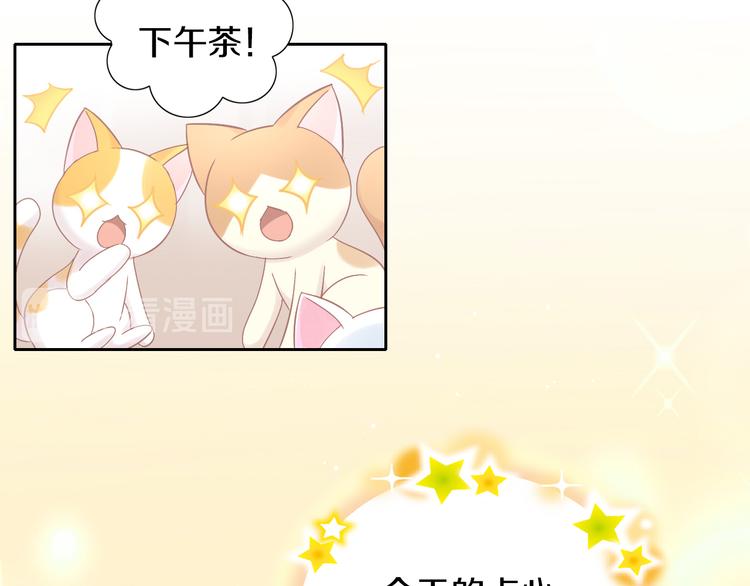 第181回  拿破仑13