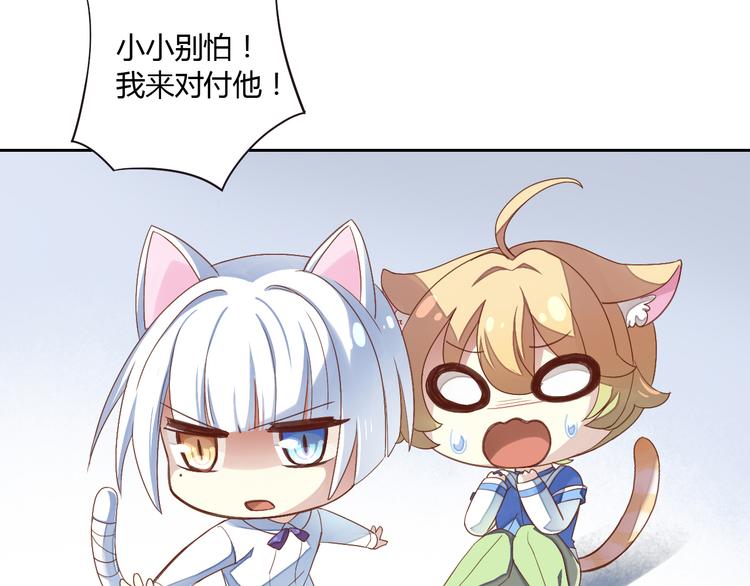 第1话  猫主子驾到！22