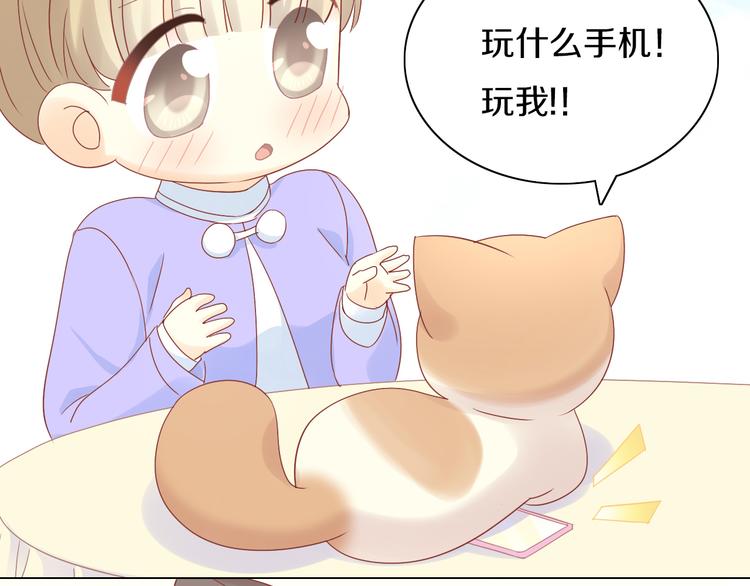 第178话 爆火视频71