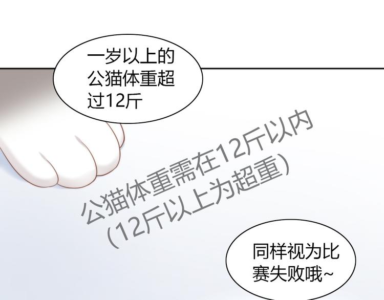 第76话 猫咪选美大赛63