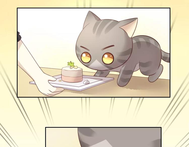 第24话 猫咪专家44