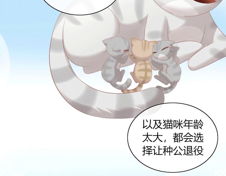 第130话 猫舍C位（六）30