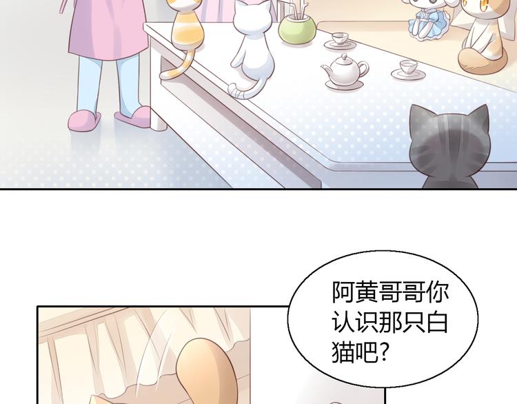 第57话 替代品27