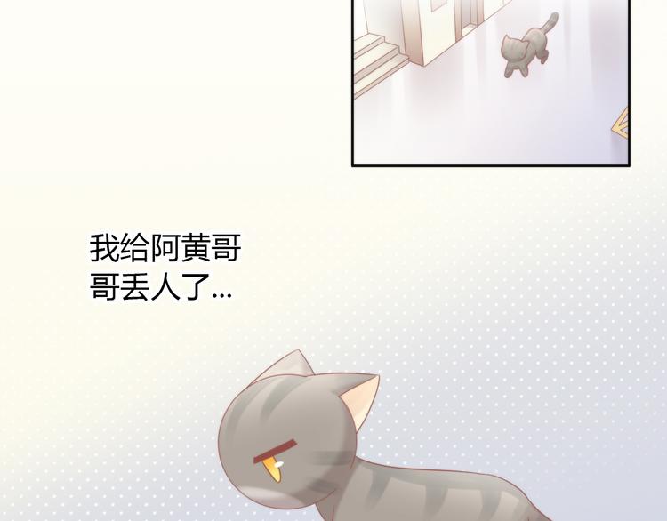 第79话 一只猫的战争43