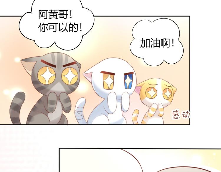 第72话 螃蟹大战51