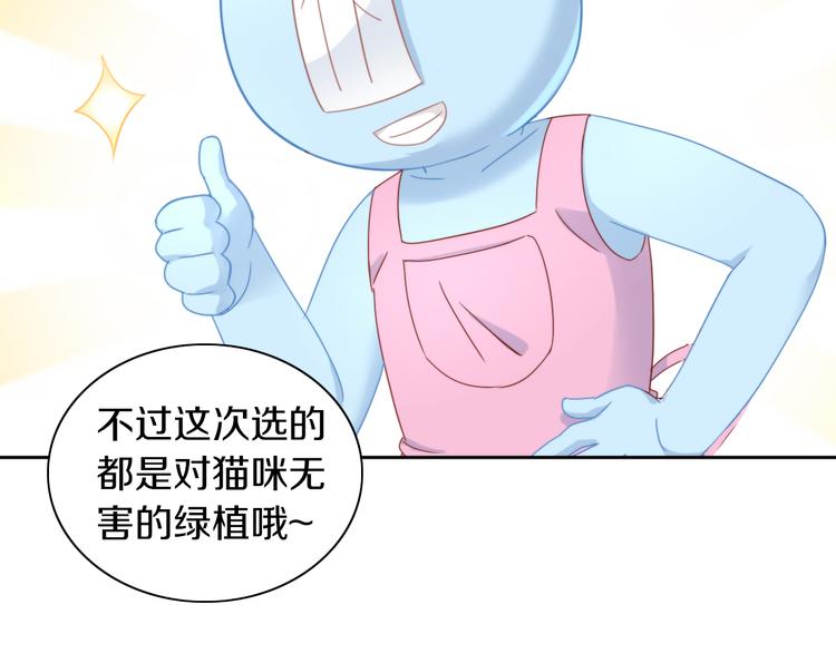 第166话 猫咪花园17