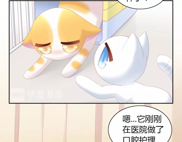 第114话 猫咪也要刷牙！55