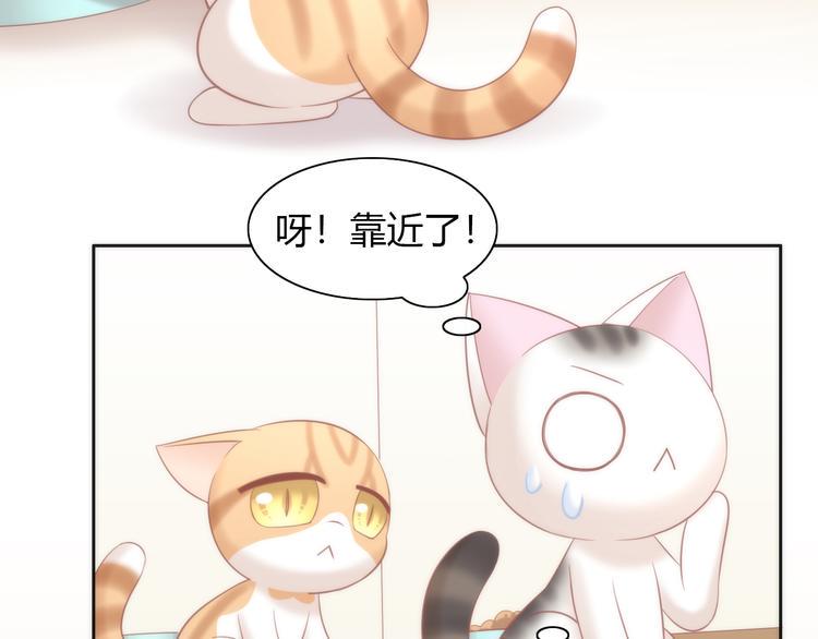 第87话  你不是王子！34