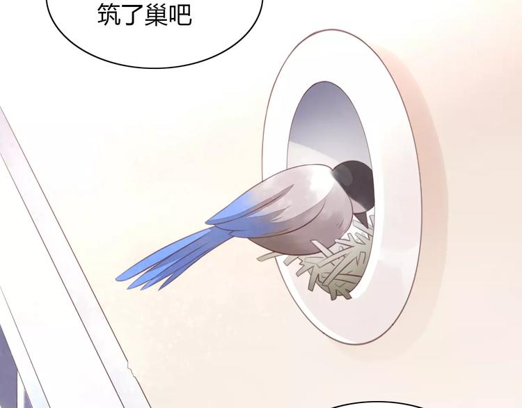 第39话 鸟妈妈的苦心12
