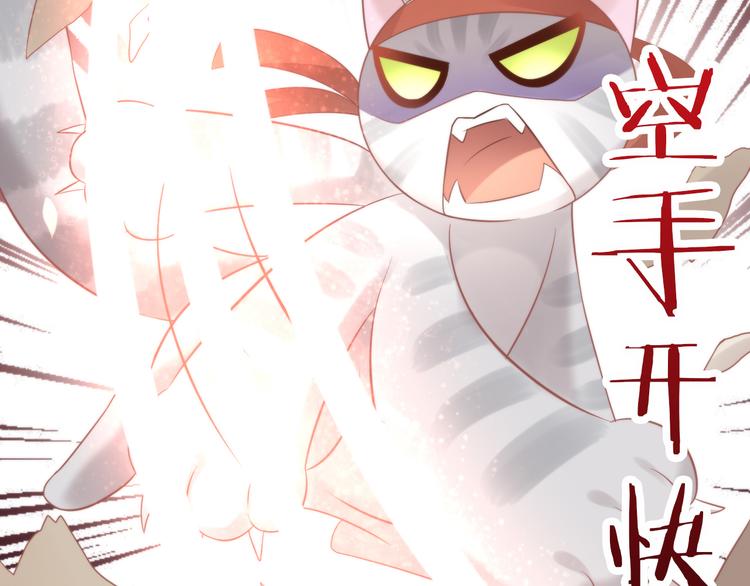 第79话 一只猫的战争55