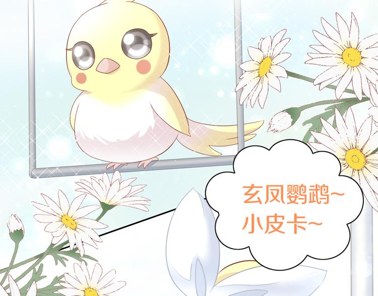 第143话 腮红鹦鹉45