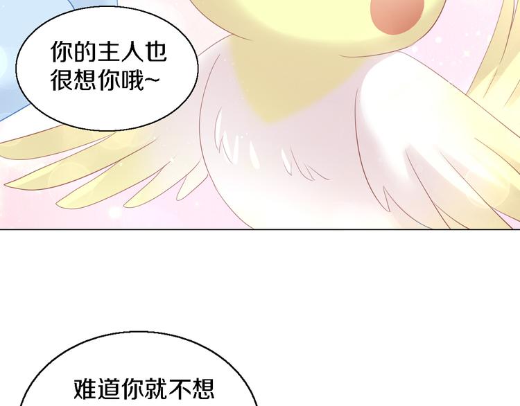 第147话 走花路吧！皮卡！55