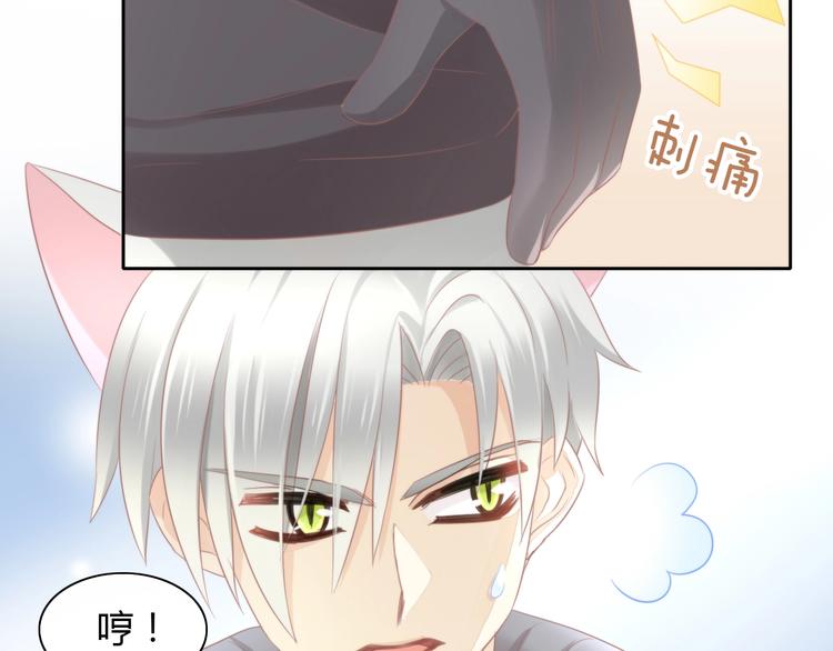 第125话 猫舍C位（一）65