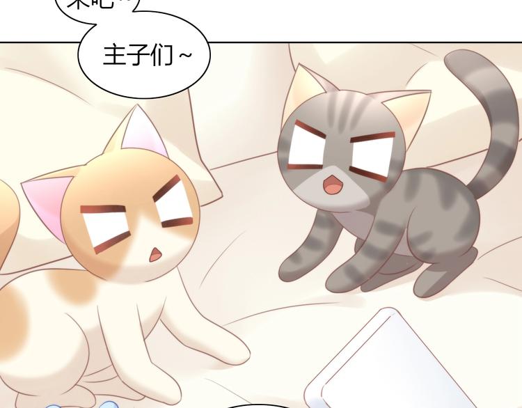 第93话 撸猫快乐成仙！32