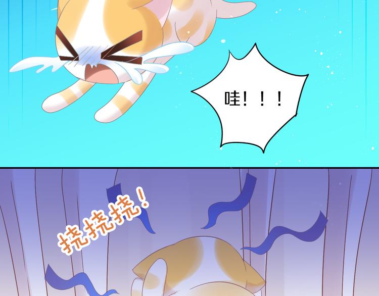 第183话  恼人的耳螨50