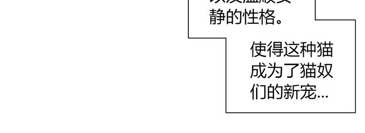第125话 猫舍C位（一）14
