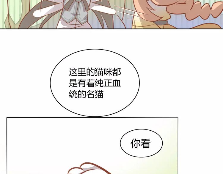 第8话  还是家里好51