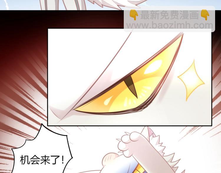 第126话 猫舍C位（二）44