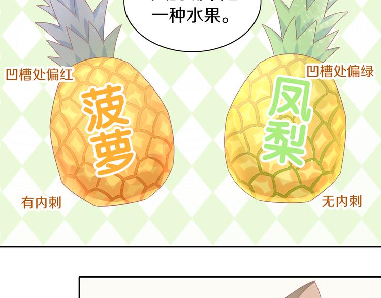 第188话 凤梨？菠萝？21