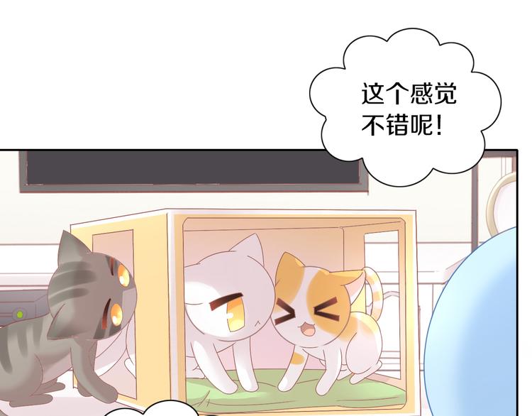 第187话 暖暖的窝39