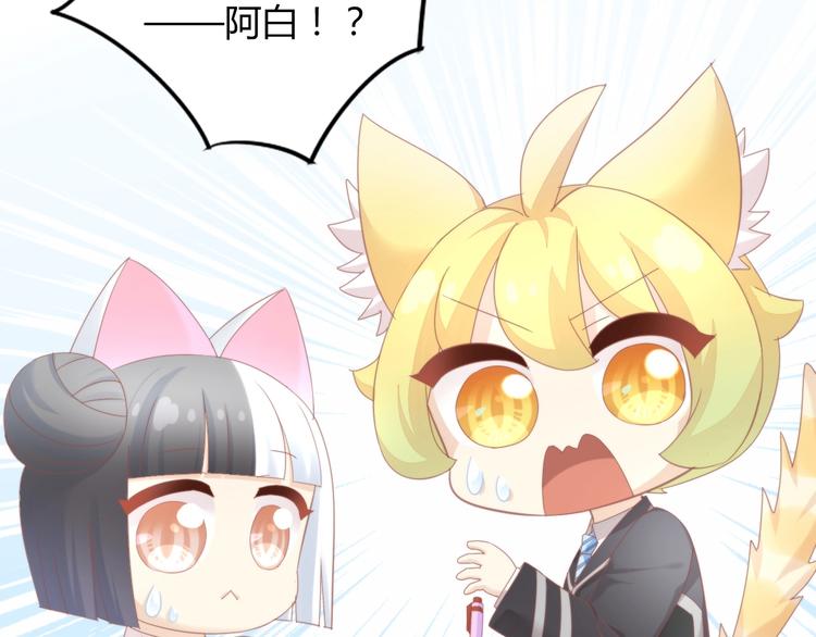 第120话 猫爪学园（三）44