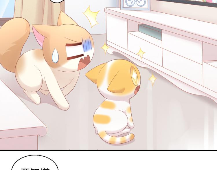 第153话 奶茶10